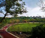 WeChat 圖片_20210515104520