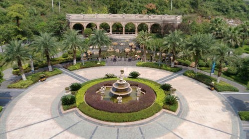 1712296869851056.jpg 3.jpg