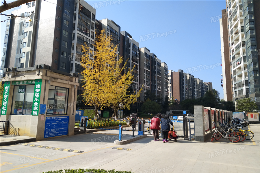 彰泰兴进（碧园印象桂林）步梯房大三房精装63万